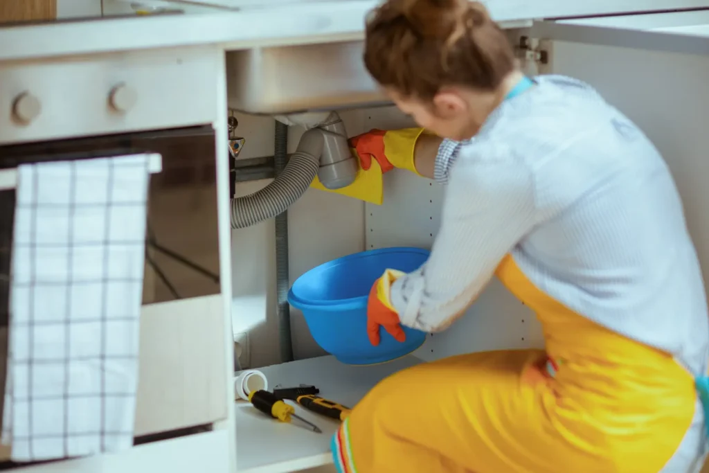 Glenview, IL Leak Detection