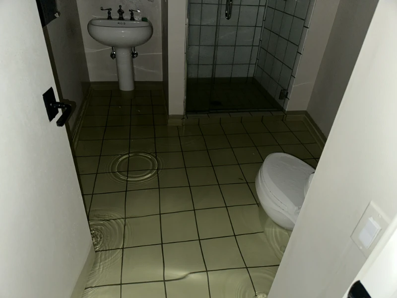 water damage restoration