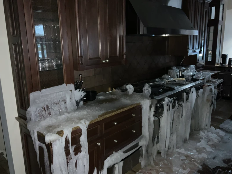 licensed restoration specialists