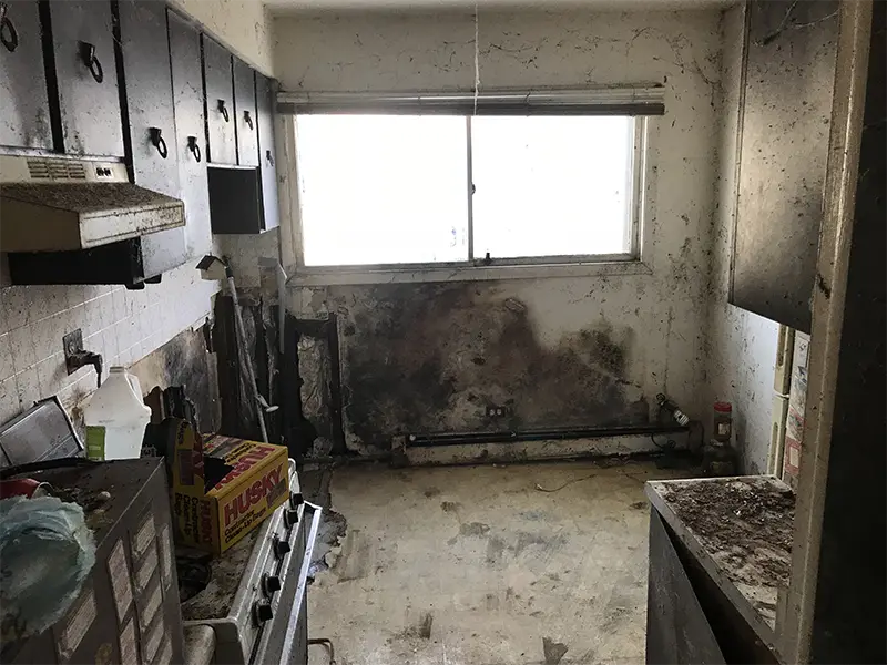 Damaged kitchen before mold remediation services