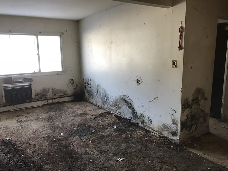 Living room damage before mold remediation services