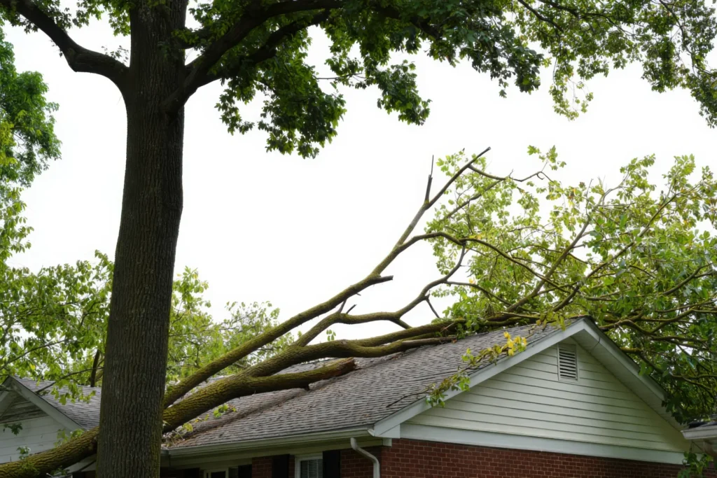 Storm Damage Restoration